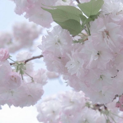 清水河FurryQQ群介绍